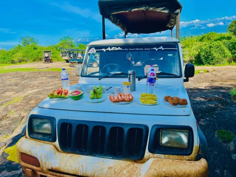 Udawalawe Safari All Inclusive Park Entrance, Jeep & Meals - The Sum Up