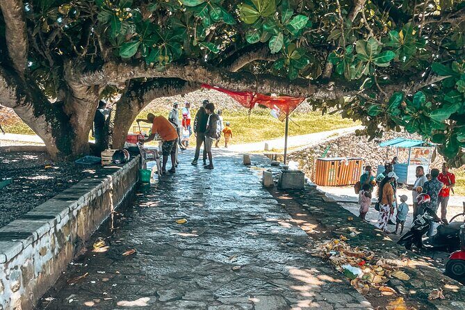 Udawalawe Safari and Galle Day Tour - What’s Included and What to Expect