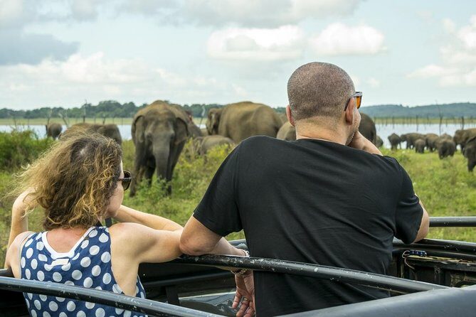 Udawalawe Safari Day Trip from South Region & Transfer to Ella - FAQ