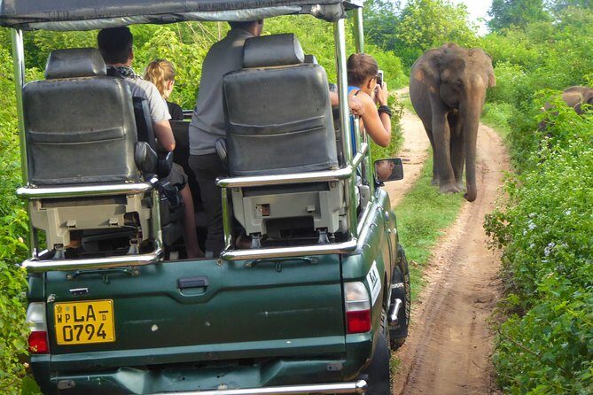 Udawalawe Safari Day Trip from South Region & Transfer to Ella - Practical Tips for Making the Most of Your Trip