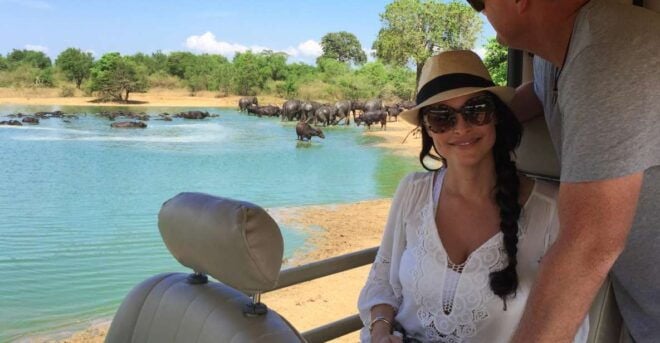 Udawalawe Safari Day Trip (Private) - All Inclusive Package - Inclusions and Amenities