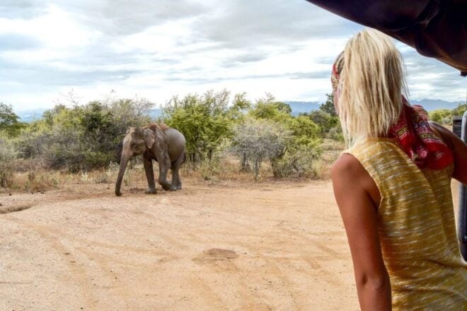 Udawalawe Safari Day Trip (Private) - All Inclusive Package - Tour Information