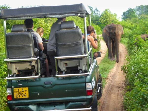Udawalawe Safari Day Trip (Private) - All Inclusive Package - Common Questions