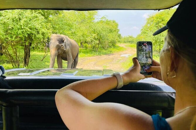 Udawalawe Safari & Elephant Orphanage visit from Hambantota Fort - The Sum Up: Who Will Love This Tour?