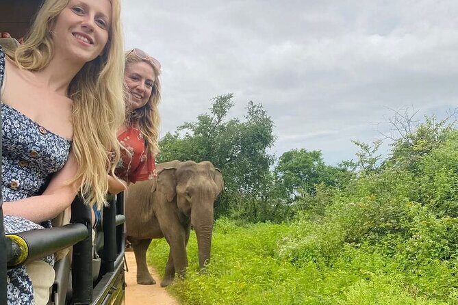 Udawalawe Safari & Elephant Orphanage visit from Hambantota Fort - Who Will Appreciate This Tour?