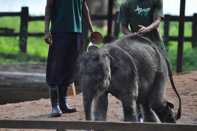 Udawalawe Safari & Elephant Transit Home Visit With Lunch From Hambantota Harbor - Cancellation Policy