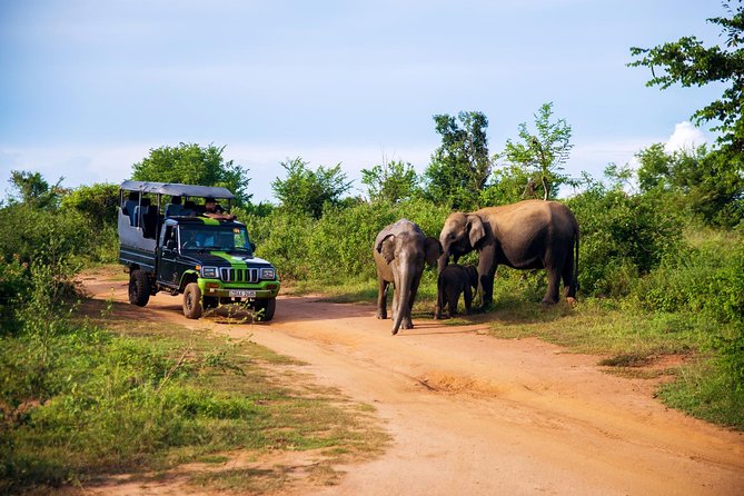 Udawalawe Safari & Elephant Transit Home Visit With Lunch From Hambantota Harbor - Contact Information