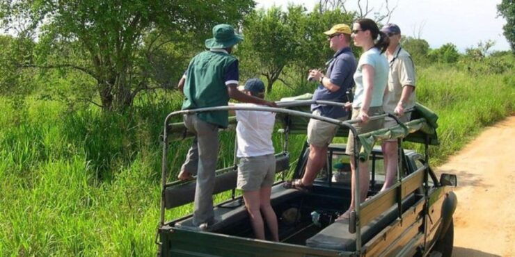 Udawalawe: Safari & Elephant Transit Home Visit With Lunch! - Activity Details