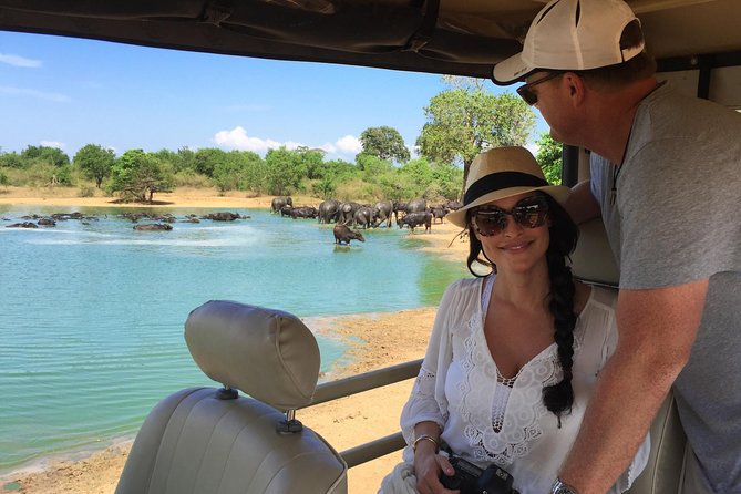 Udawalawe Safari From Hambantota Port (Shore Excursion) - Pickup and Drop-Off Information