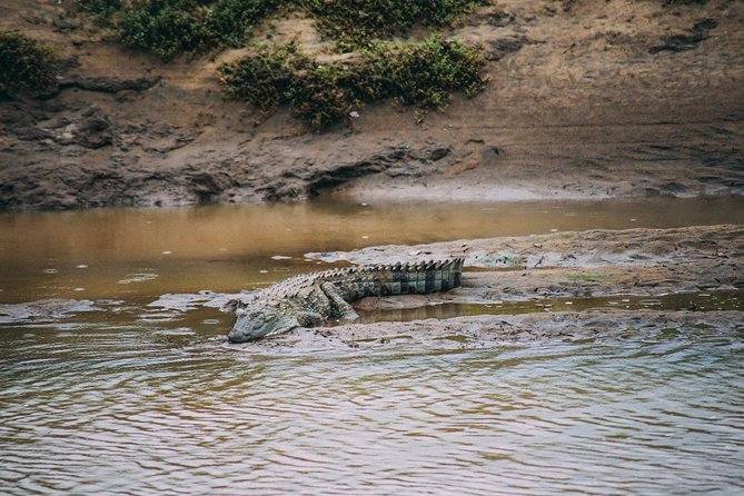 Udawalawe Safari From Hambantota Port (Shore Excursion) - Common Questions