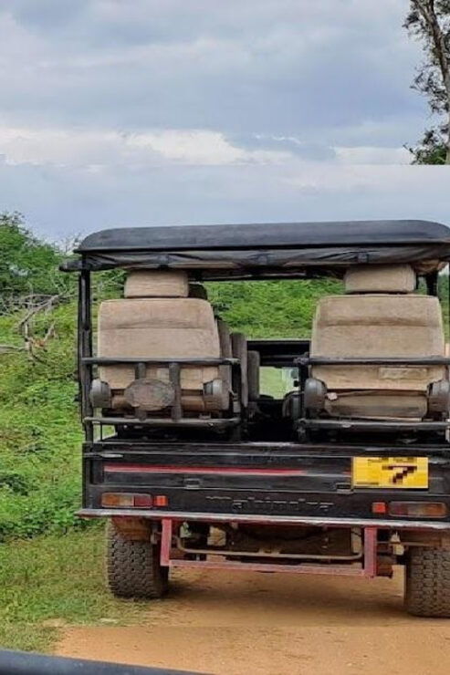 Udawalawe Safari - Good To Know