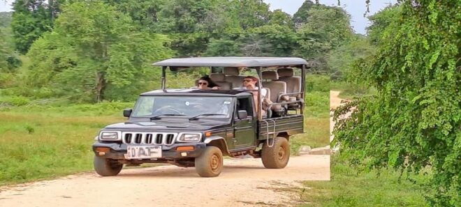 Udawalawe Safari - Itinerary and Transportation