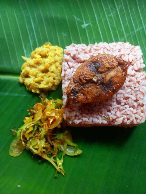 Udawalawe: Udawalawe Cooking experience with local family - Detailed Breakdown of the Itinerary