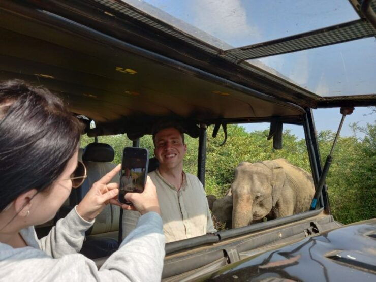 Udawalawe Wild Safari Tours 7 Hours All Inclusive - Experience the Ultimate Wildlife Adventure