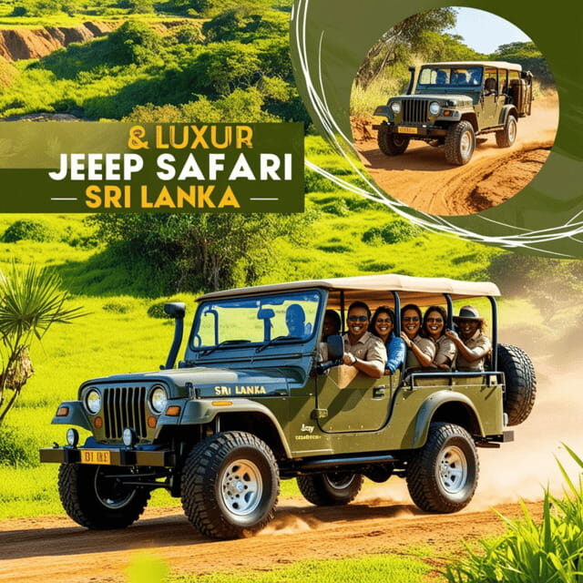 Udawalawe:Tickets Lux Jeep Safari & Elephant Orphanage Visit - FAQ