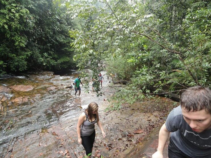 Uduwara and Nagadowa Waterfall Trekking - Location and Access