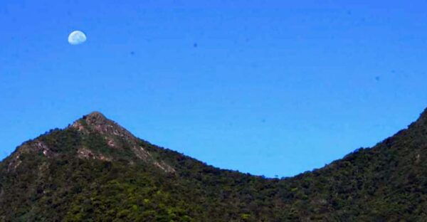 Uduwara and Nagadowa Waterfall Trekking - Frequently Asked Questions