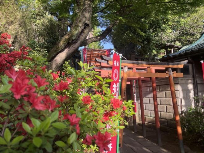 Ueno and Yanaka Day Walking Tour: Culture, Art and Old Tokyo - Tour Experience