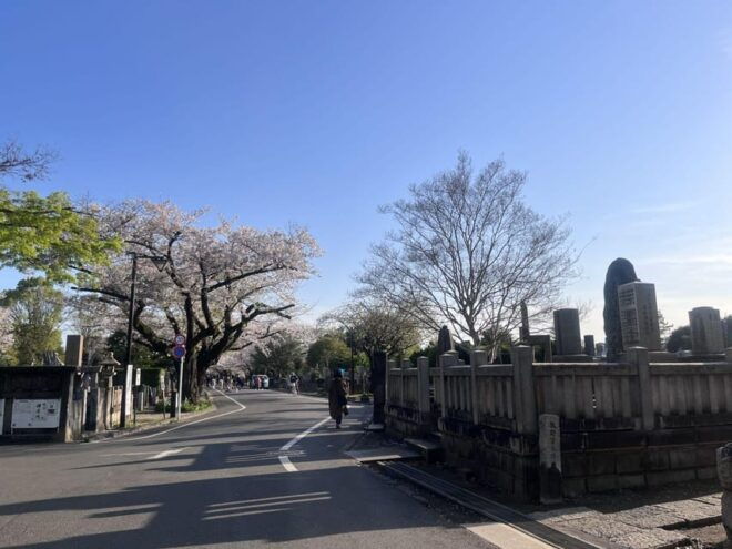 Ueno and Yanaka Day Walking Tour: Culture, Art and Old Tokyo - Inclusions and Exclusions