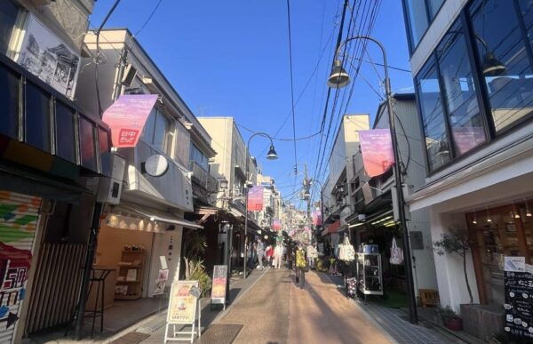 Ueno and Yanaka Day Walking Tour: Culture, Art and Old Tokyo - Starting and Ending Locations