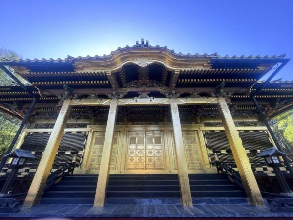 Ueno and Yanaka Day Walking Tour: Culture, Art and Old Tokyo - Tips for Travelers