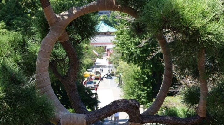Ueno Historical Tour: Discover Ueno Park Hidden Gems - Cultural Significance of Ueno Park