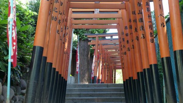 Ueno Historical Tour: Discover Ueno Park Hidden Gems - Common Questions