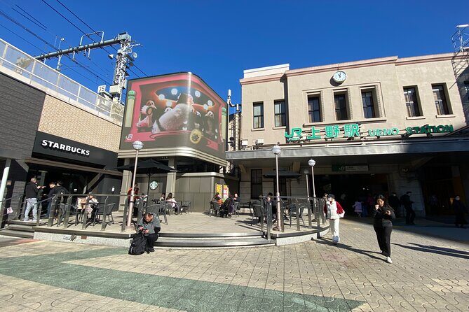 Ueno Park Ameyoko Market Walking Tour with Japanese Tokyo Local - Good To Know