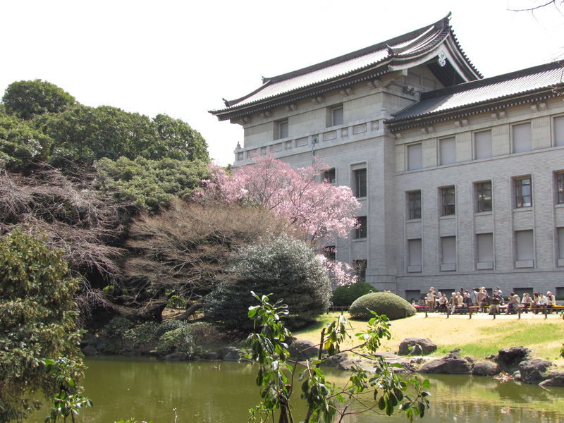 Ueno Park & Ameyoko Shopping Street Half-day Walking & Guided Tour - Is $45.89 good value?
