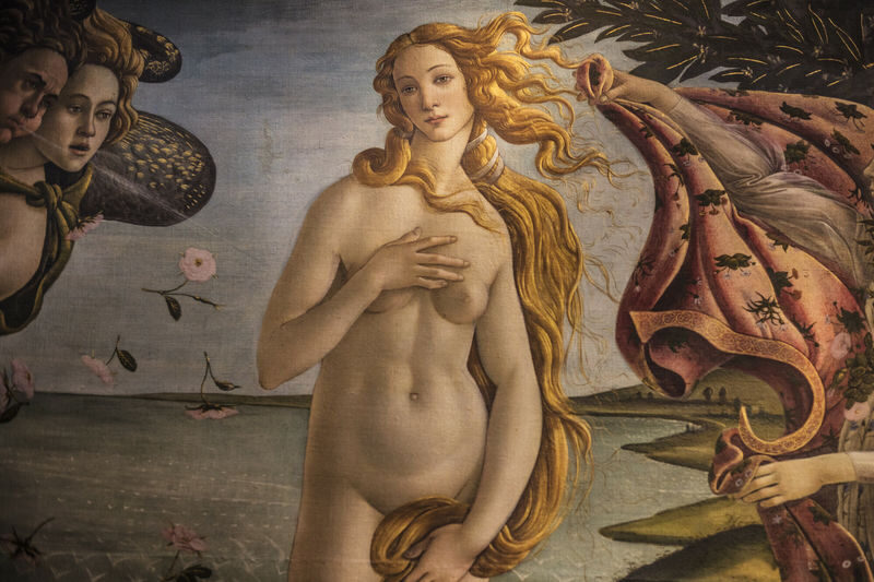 Uffizi Gallery and Accademia Gallery Tour - David at the Accademia: Marble With a Message
