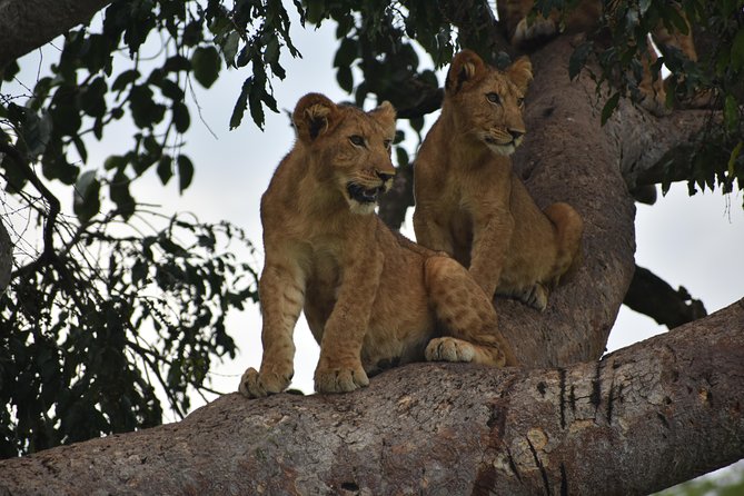 Uganda Wildlife & Activity Holiday - 15 Days - Outdoor Activities