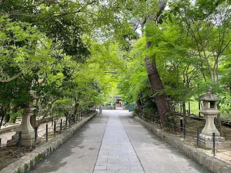 Uji Eternal: Temples, Tea, & the Flow of Japanese Tradition - Final Thoughts: Who Will Love This Tour?
