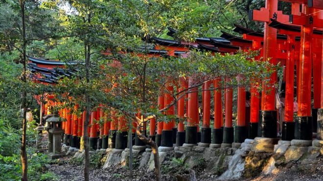 Uji & Fushimi Inari Adventure: Tea, Temples, and Torii Gates - Cultural Significance of Uji
