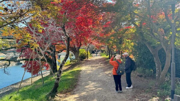 Uji & Fushimi Inari Adventure: Tea, Temples, and Torii Gates - Frequently Asked Questions