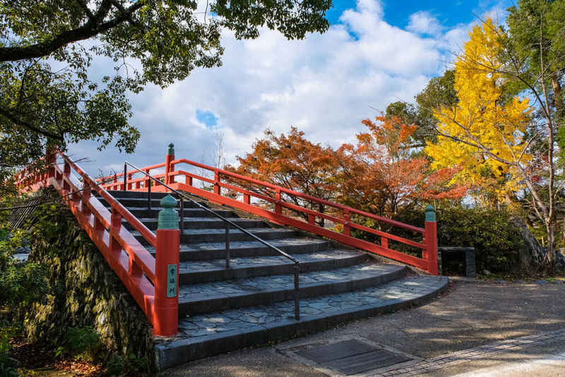 Ujis Romance: Byodo-in, Tea & the Legacy of Genjis Timeless Tales - Byodo-in’s Phoenix Hall sets the tone