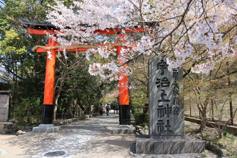 Ujis Romance: Byodo-in, Tea & the Legacy of Genjis Timeless Tales - Ujigami Shrine adds a quieter sacred stop