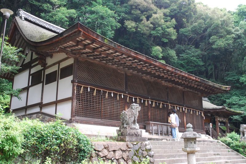 Uji Tea Ceremony and UNESCO Heritage Walking Tour - Byodo-in and the Phoenix Hall