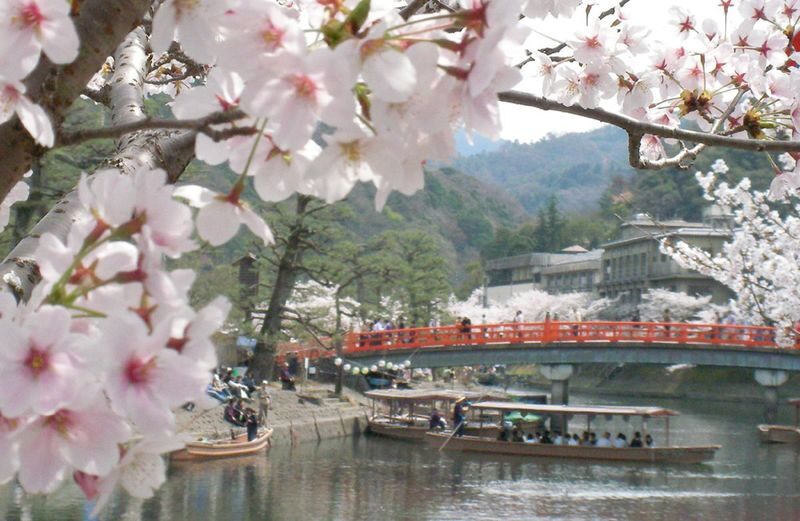 Uji Tea Ceremony and UNESCO Heritage Walking Tour - Matcha at the end of the walk