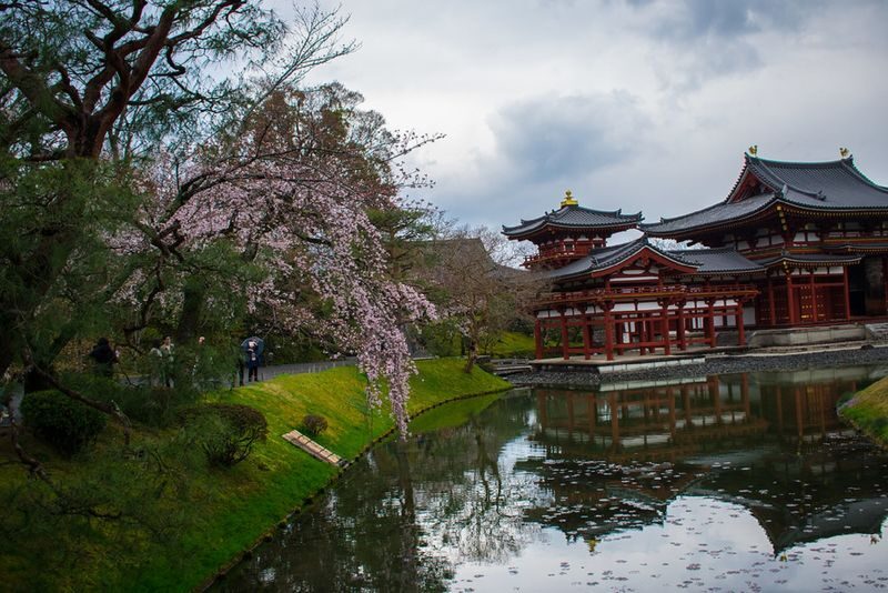 Uji Tea Ceremony and UNESCO Heritage Walking Tour - What the price covers, and what it does not