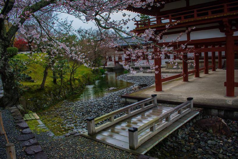 Uji Tea Ceremony and UNESCO Heritage Walking Tour - Who should book this Uji walk