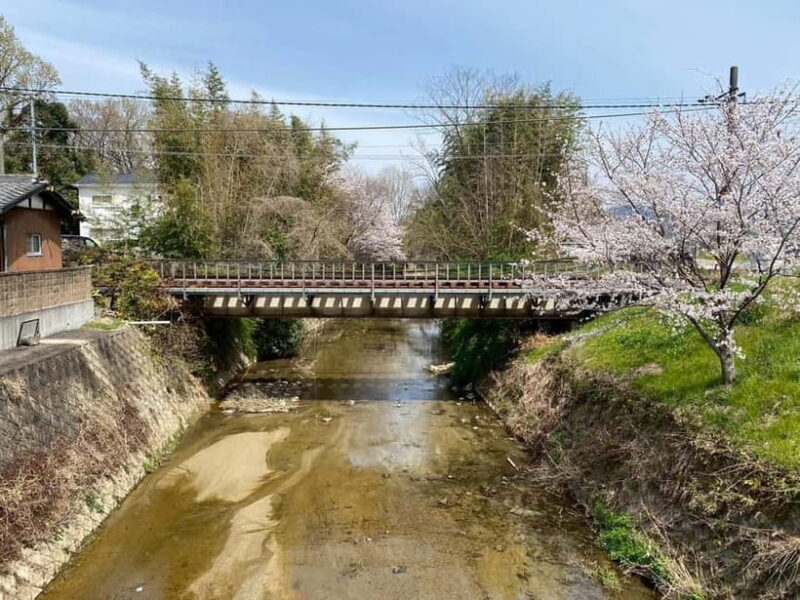 Uji: Tea Ceremony, Calligraphy, and Tea Field Walking Tour - Good To Know