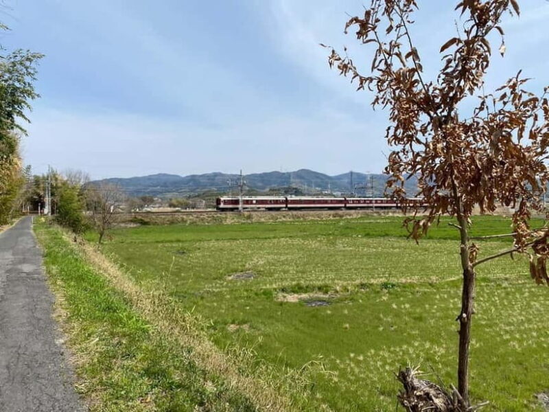 Uji: Tea Ceremony, Calligraphy, and Tea Field Walking Tour - What’s Included and What to Keep in Mind