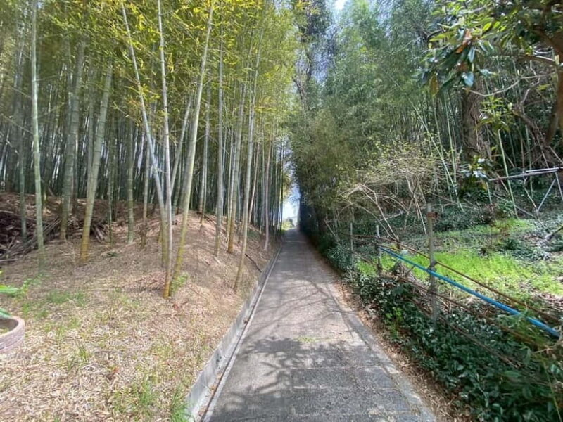 Uji: Tea Ceremony, Calligraphy, and Tea Field Walking Tour - Final Thoughts