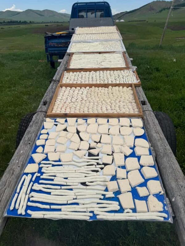 Ulaanbaatar: 7-Day Central Mongolia Tour with Meals - Who Should Consider This Tour?  