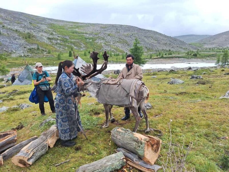 Ulaanbaatar: 9-Day Northern Mongolia Reindeer Adventure - Good To Know