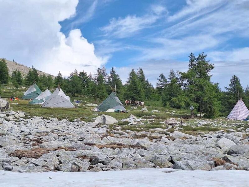 Ulaanbaatar: 9-Day Northern Mongolia Reindeer Adventure - Practical Details and Final Thoughts