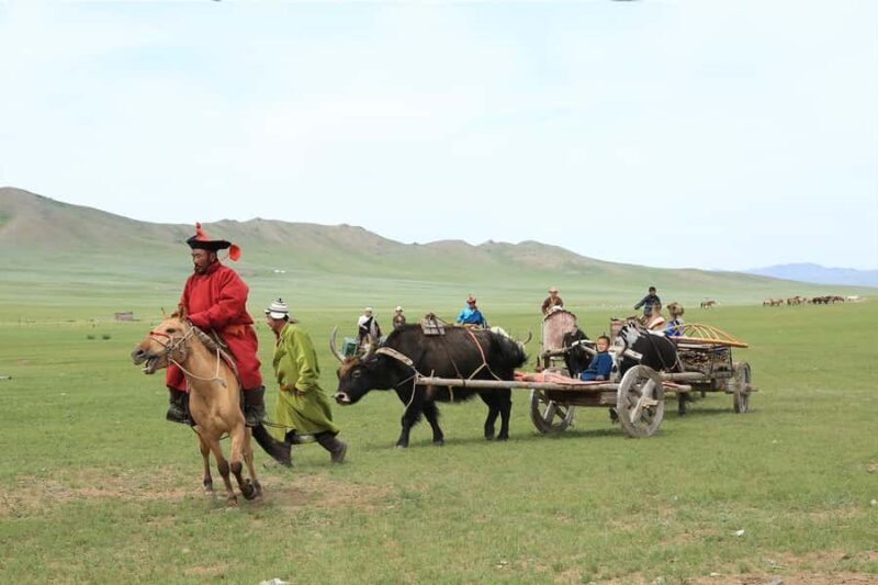 Ulaanbaatar: Nomadic Culture Show & Wild Horse Park Day Tour - Final Thoughts