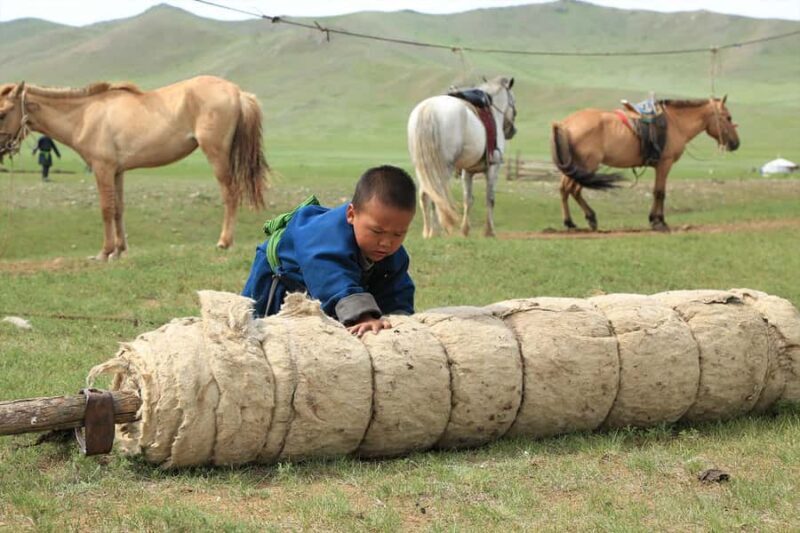 Ulaanbaatar: Nomadic Culture Show & Wild Horse Park Day Tour - Exploring Mongolia’s Nomadic Heritage: The Mongol Nomadic Show