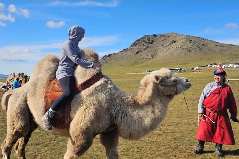Ulaanbaatar: Nomadic Culture Show & Wild Horse Park Day Tour - FAQ
