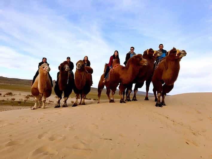 Ulaanbaatar: Semi-Gobi Desert Day Trip & Camel Ride - Exploring the Itinerary in Detail